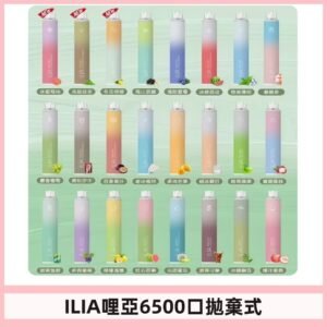 ILIA BAR 4 哩啞一次性拋棄式電子煙｜6500口大容量